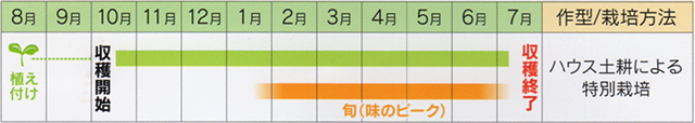 栽培期間・旬（味のピーク）・作型・栽培方法